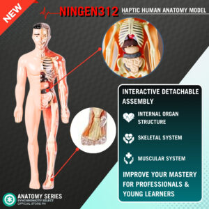 English Learning Theme Poster